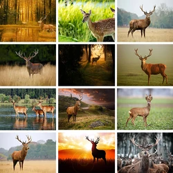 5D DIY Diamond Painting Animal Sika Deer Embroidery Mosaic Handicraft Picture Full Drill Cross Stitch Kit Living Room Decor Gift