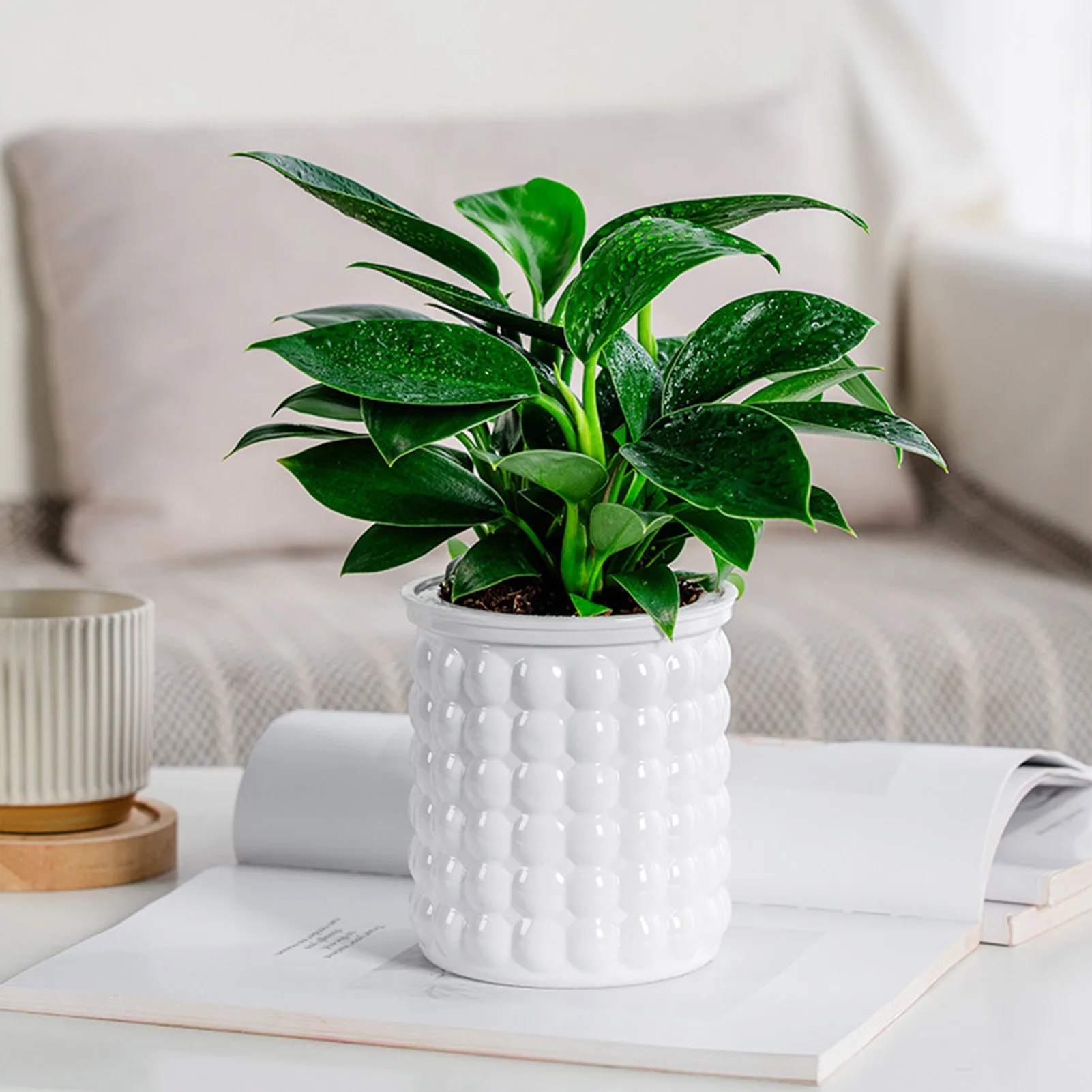 Self Watering Flowerpot Hydroponic Flower Pot Automatic Water-Absorbing Flowerpot Double Layer Plastic Self Watering Planter