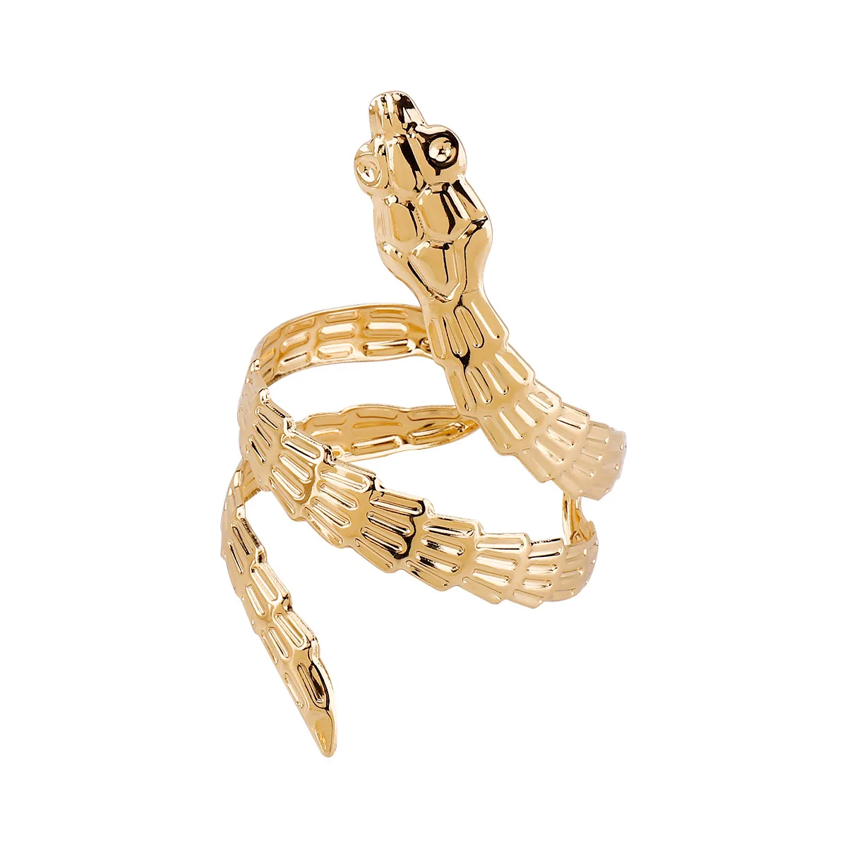 Exaggerated fashion saurogobio dabryi subsp. dabryi shaped coiled bracelet, creatively retro textured design metal open bangle
