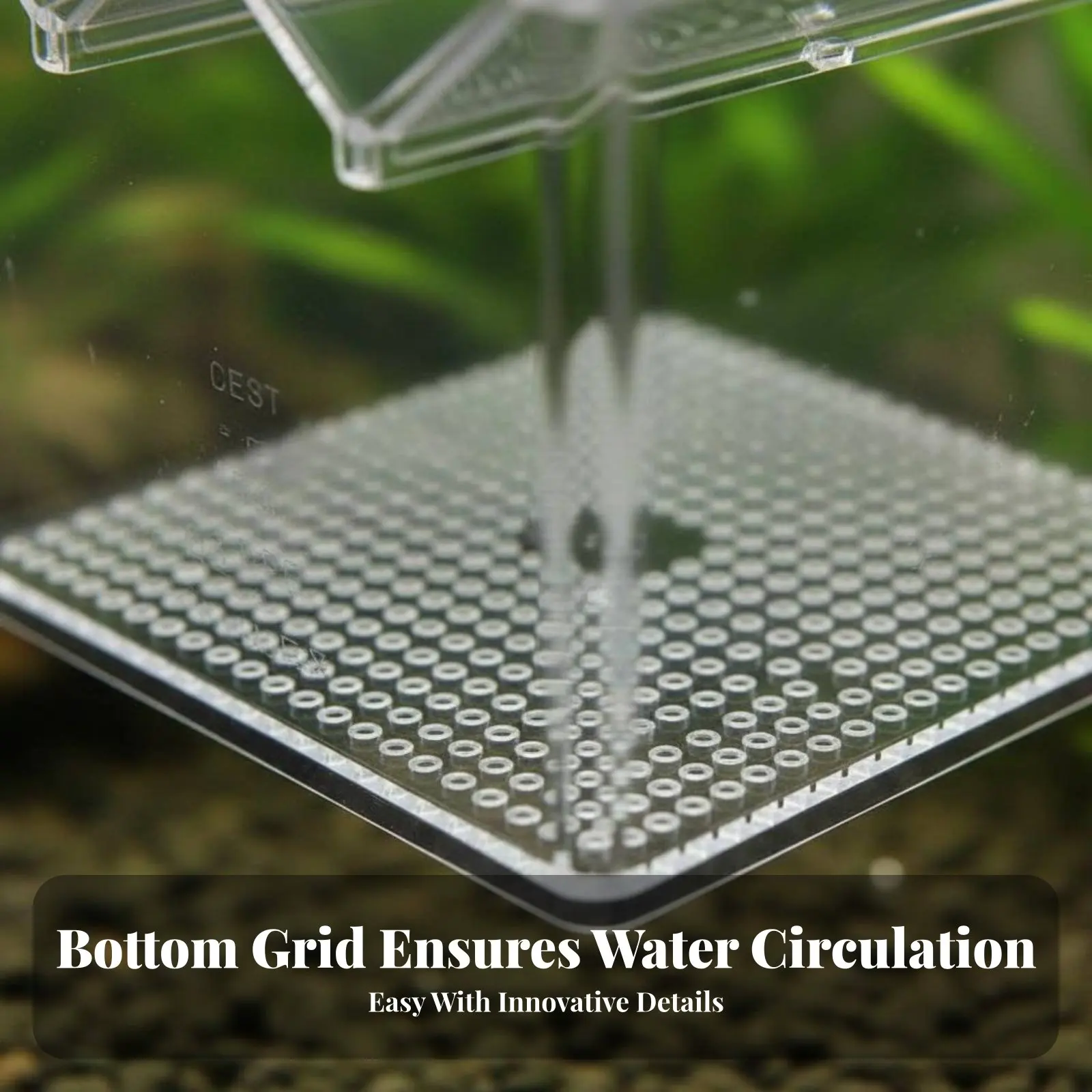 

Buoyant Aquatic Breeding Box Space Saving Acrylic Aquatic Hatchery Aquatic Habitat Breeder Box Double Use Multifunctional