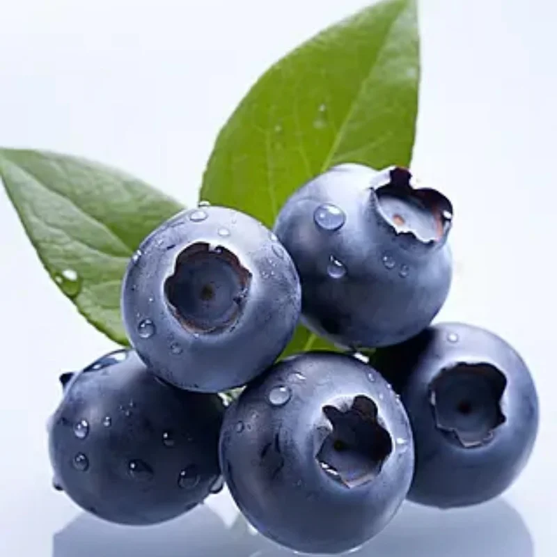 

Stainless Steel Metal Bumper Chassis Armor Protection Skid Plate for 1/10 YK4106 YK4107 RC Car Upgrade OP Accessories