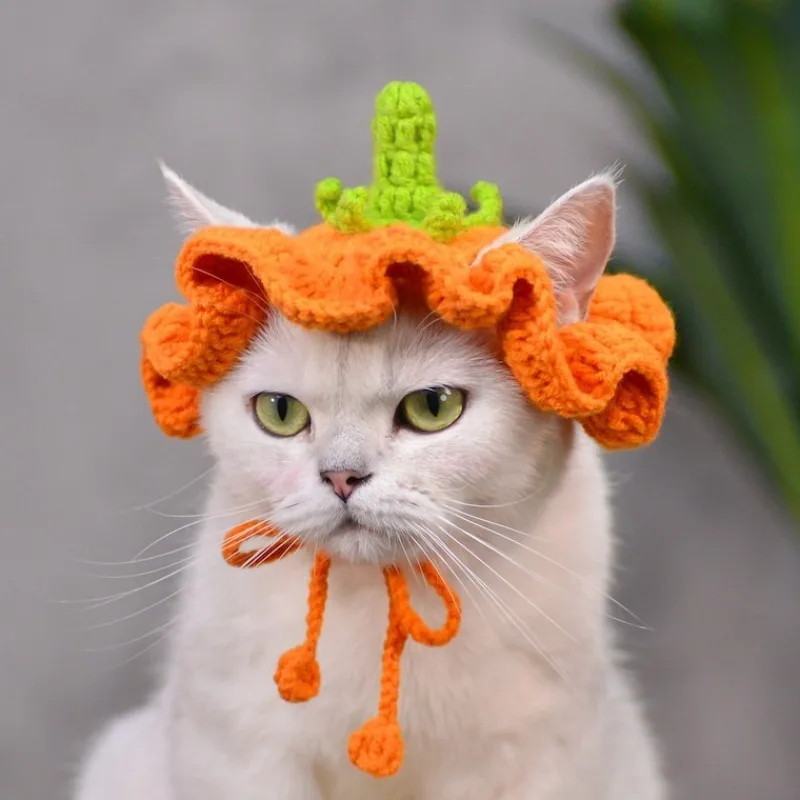 

Handmade Crochet Pumpkin Hat Cat Headdress Crochet Pet Hat with Playful Eggplant Decoration Cute Pet Hat