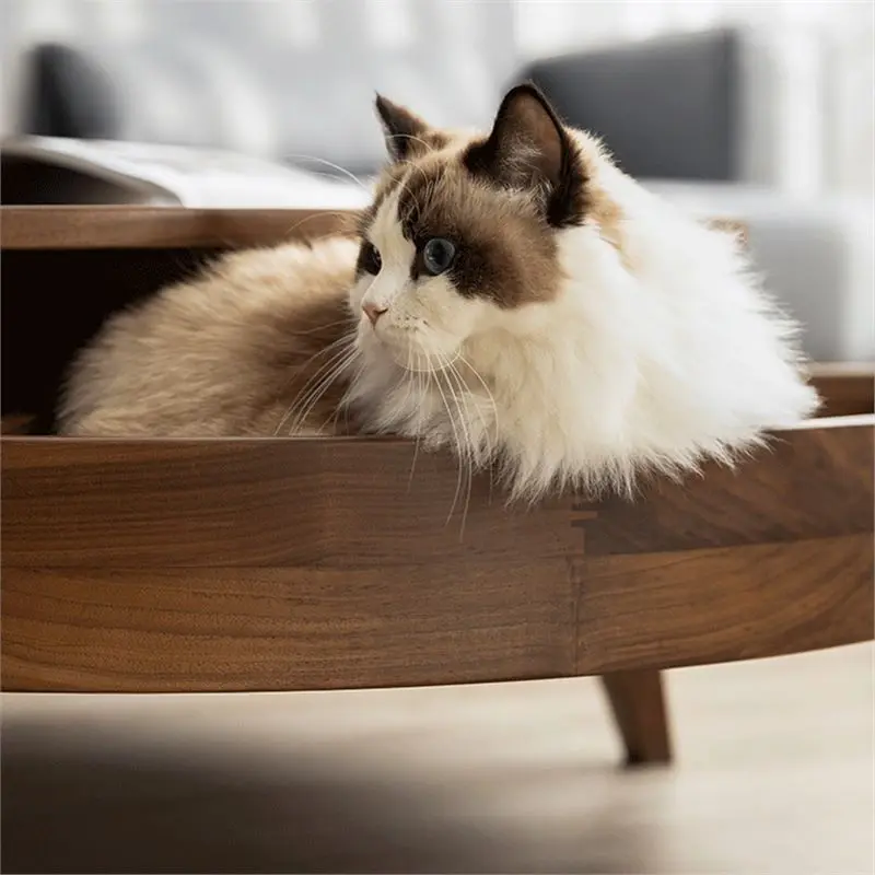 Modern simple coffee table high artistic sense black walnut coffee table