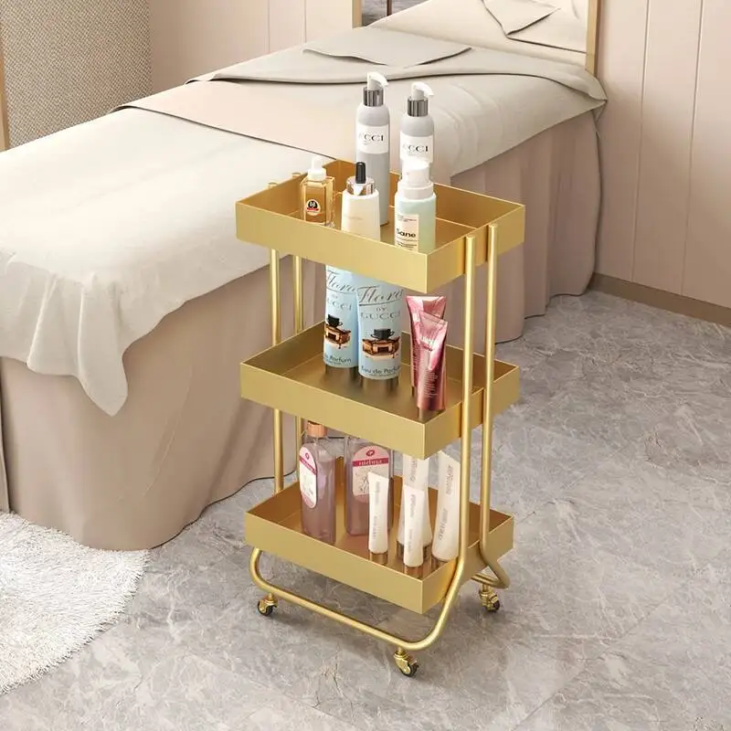 Equipment Hair Trolley Salon Mobile Auxiliary Organizer Professional Carritos Auxiliares Spa Rollers Car Hairdresser Furniture