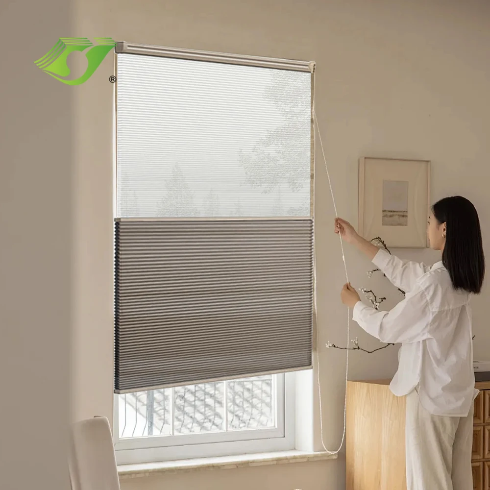 Day and Night Honeycomb Blinds Manual Cellular Double Layer Fabric Blackout Light Filtering Window Shades,Noise Reduction