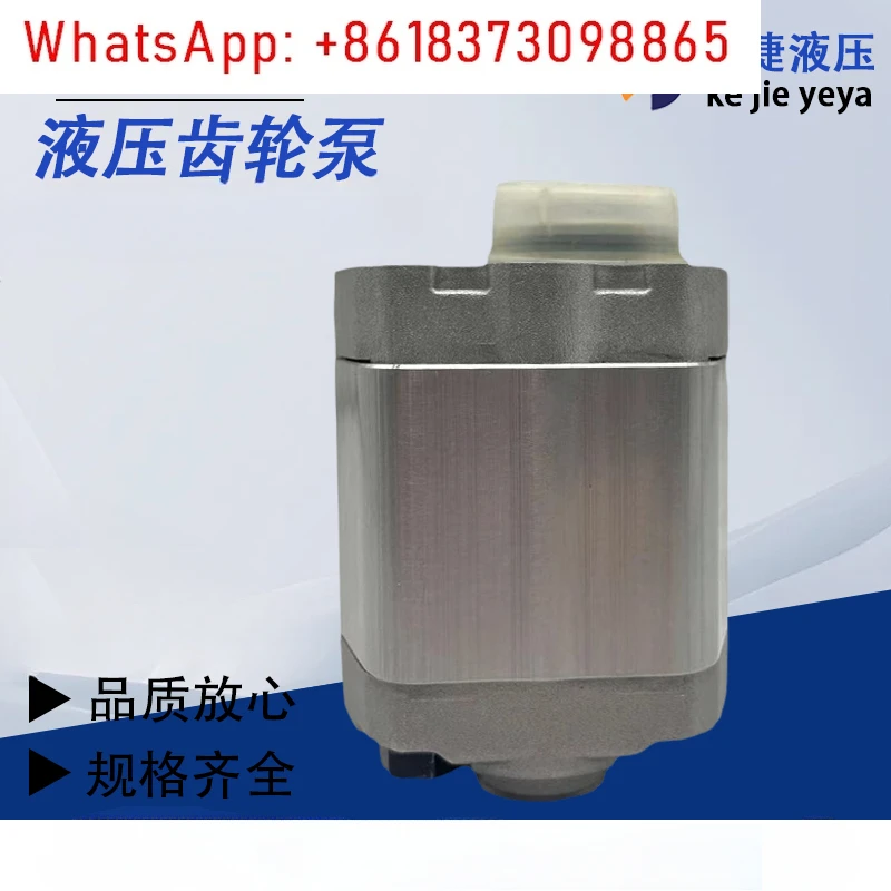 Pompa dell'olio idraulico RGP-F113 RGP-F118 Pompa a ingranaggi idraulica RGP-F106/F116/F180/F121