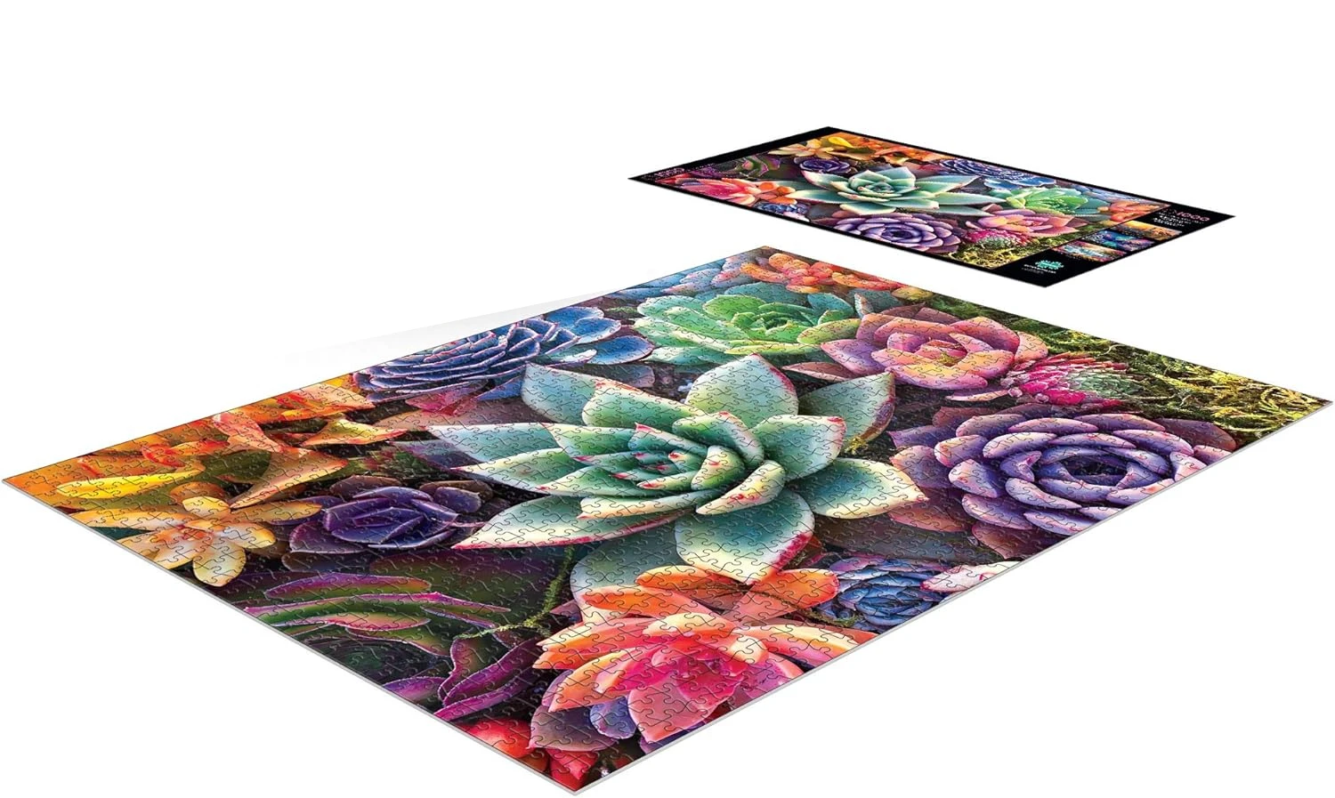 120/300/500/520/1000/1314 peças quebra-cabeça de madeira suculenta presente perfeito para amantes de quebra-cabeça família amigo sala de jogos decoração de quarto de casa