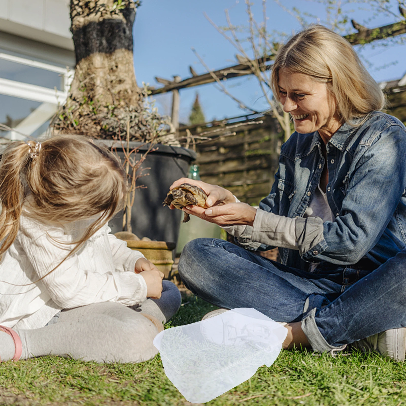 

Turtle Breeding Box Sturdy Non-Toxic Plastic Turtle Tank With 5 Functional Areas For Tortoise Terrapin Spacious Aquatic