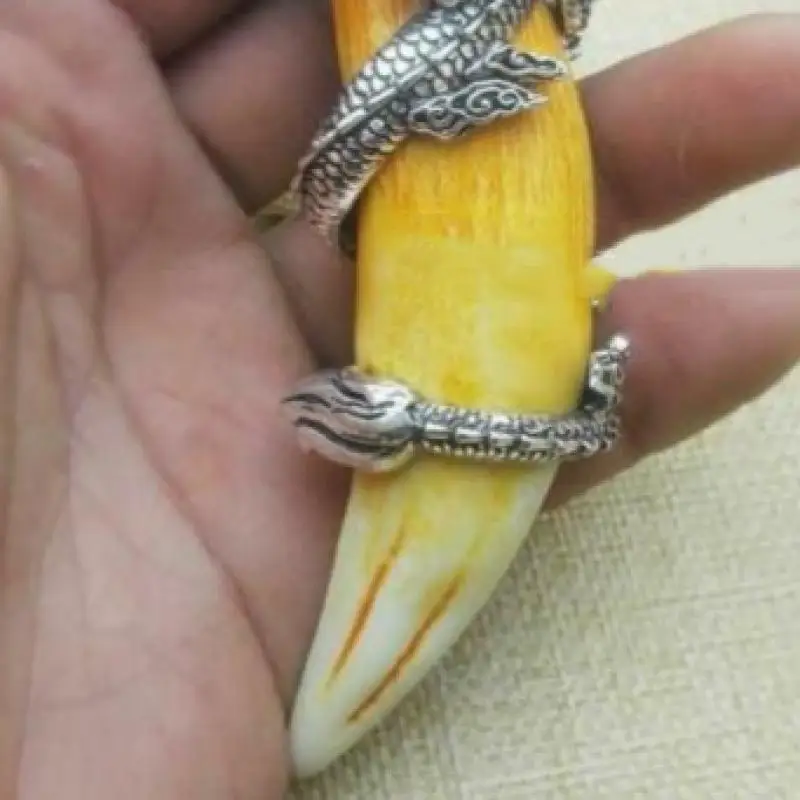 Chinese Boars Antique Tooth Wild Hog Silver Dragon Protective Talisman Pendant