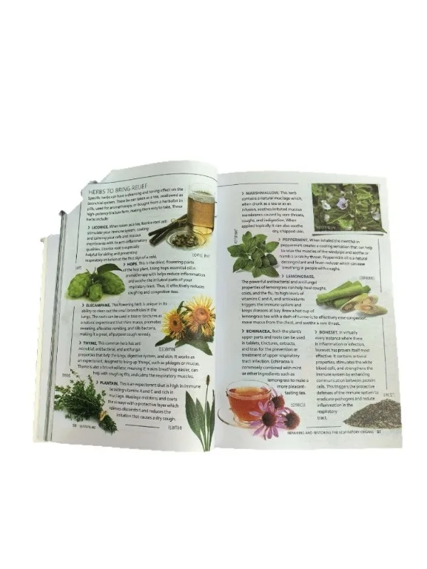 "Sustain Me" من Barbara O'Neill: علاجات طبيعية للشفاء والصحة الشاملة - دليل العافية العملي للحياة الحديثة