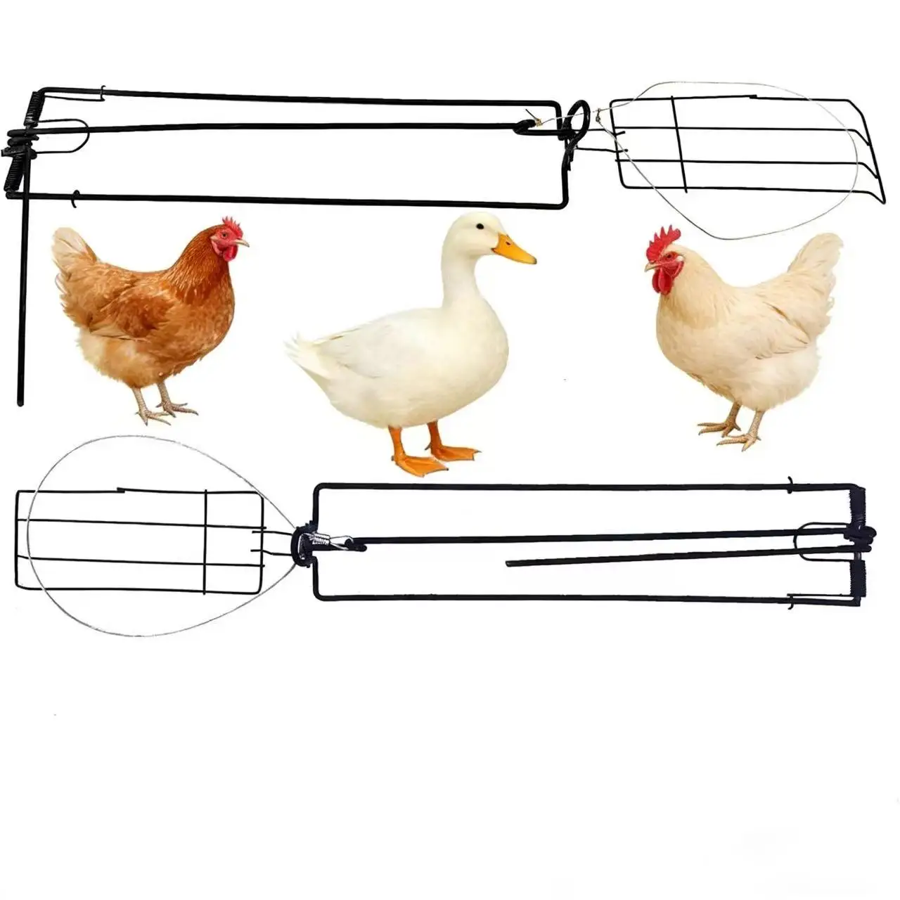 

Инструменты для отпугивания диких кур и голубей, сельскохозяйственные средства защиты для садов и фруктовых садов, инструменты для борьбы с вредителями и болезнями, которые не повредят животным.