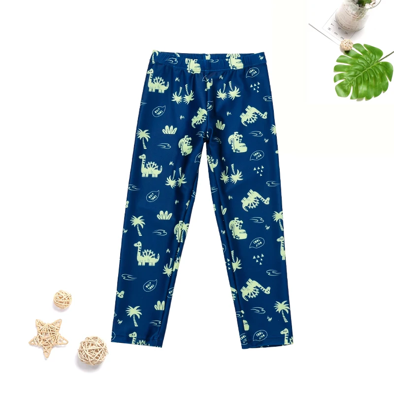 Cartoon Saber-toothed dragon Swimsuit for Kids boys Quick-drying Coach Recommended for Trainning BeachWear Set