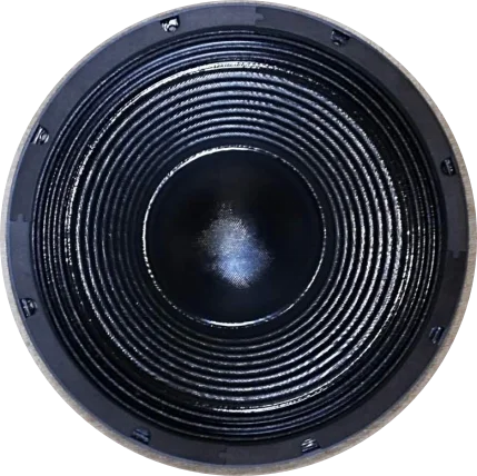 12'' Dual Magnetic Speakers 2000 Watts 4'' Voice Coil, Professional Speaker System
