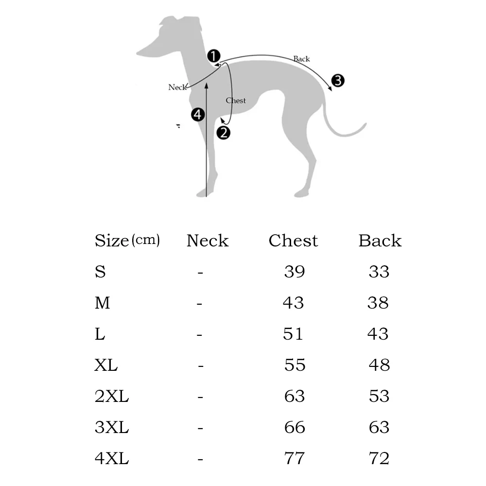 Camiseta solar UV para galgo italiano y Whippet – Transpirable verano - imagen 5