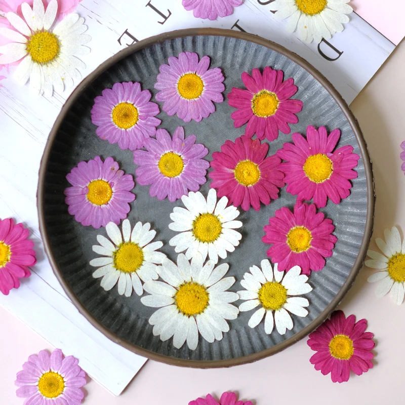 12pcs/lot,Pink Margaret White Daisy Embossed Dried Flowers DIY Handmade Flower Stickers Drip Glue Bookmark Face Petal Makeup