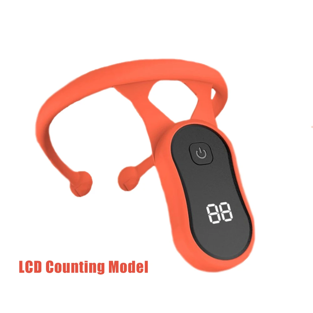 Variant: LCD Counting Model R