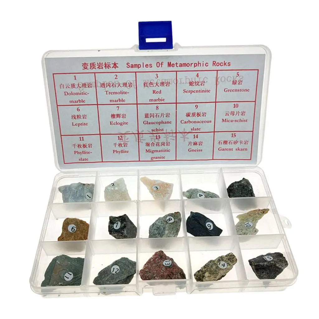 Metamorphic Rock Specimen Set Geology Teaching Sample Kit Boxed Minerals for School Students Science Education