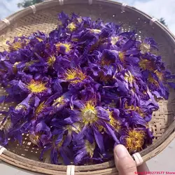 Top Natural Bulk Organic Blue Lotus Dried Flowers Used For Decorating Soap Candles