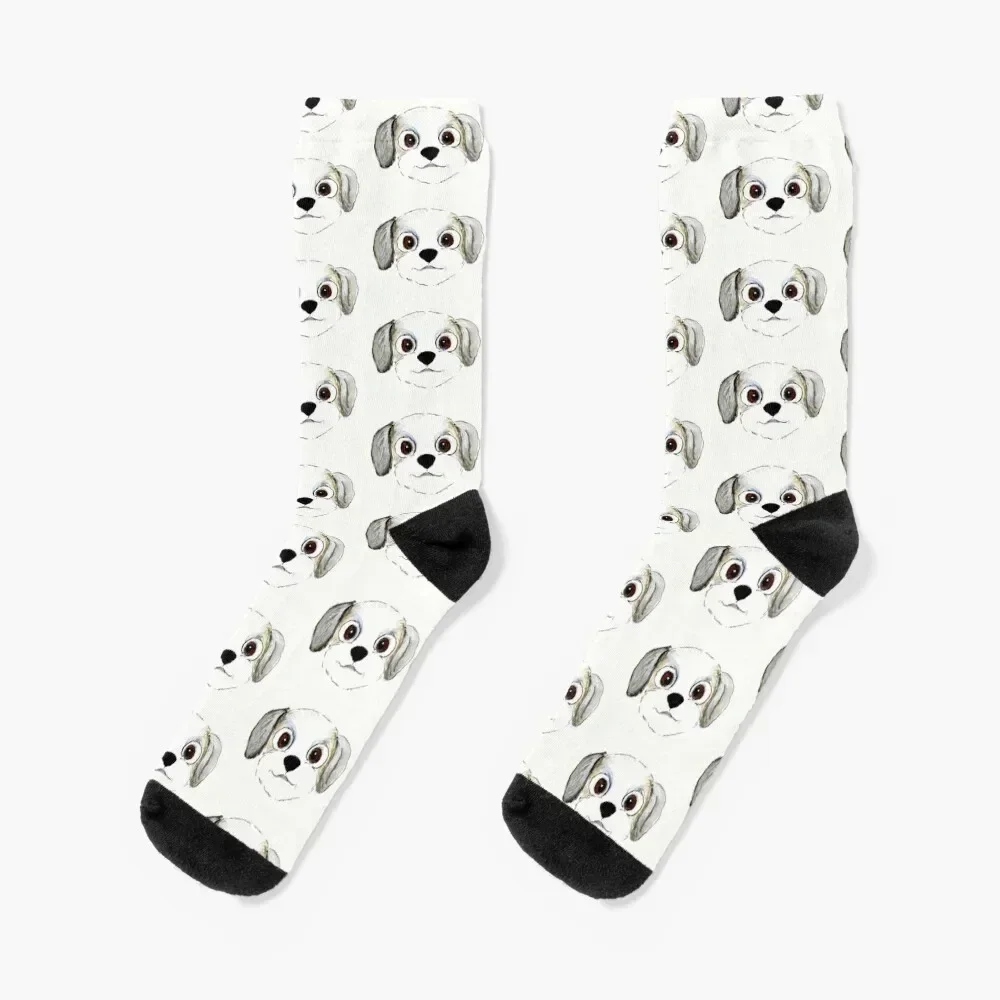 Havanese Cartoon Socks Rugby loose Men Socks Luxury Brand Women's