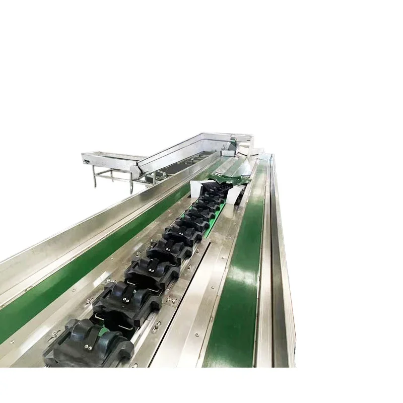 Smistatrice intelligente per frutta