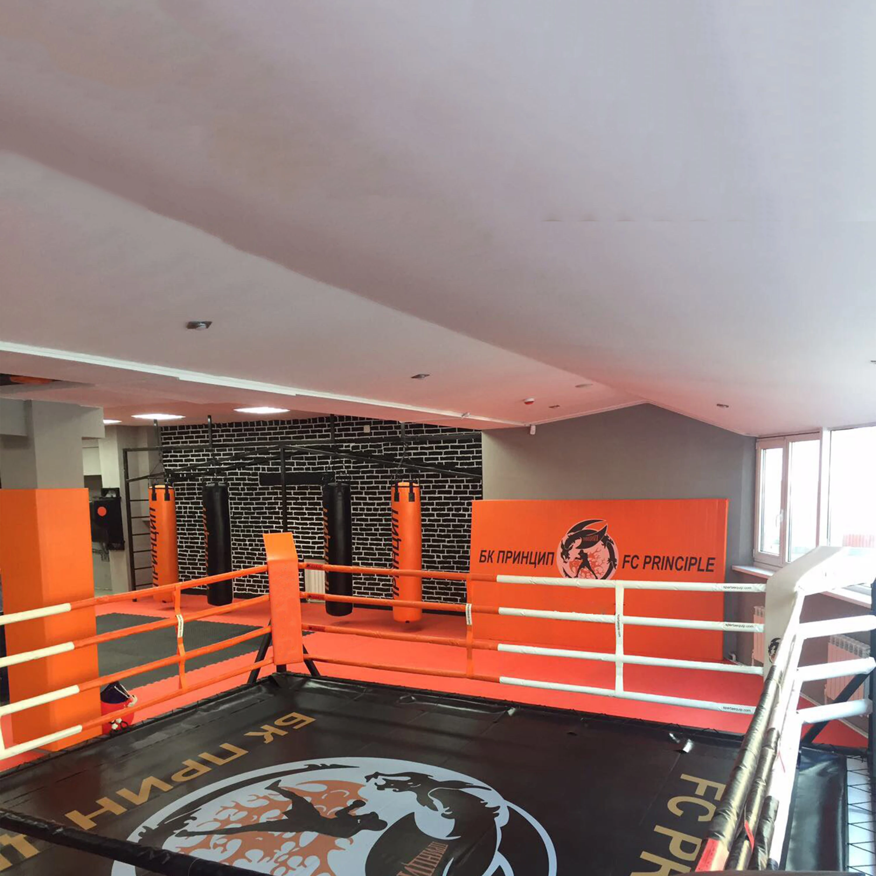 Picture 6: Personalized Professional 6m X 6m Floor-Standing Boxing Ring Equipment for Competition