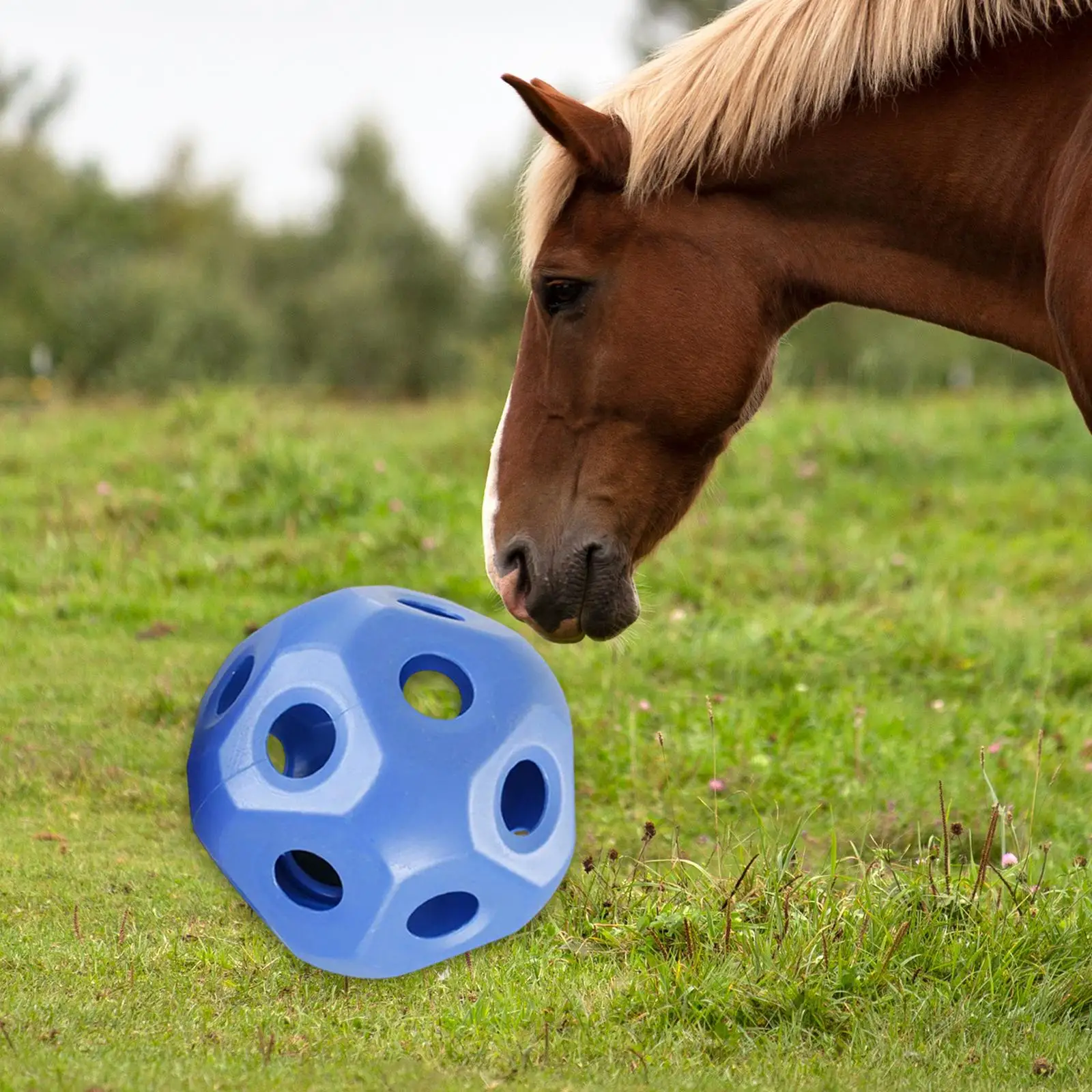 Fun Horse Treat Ball Hay Feeder Toy Ball Horse Feeder Ball Horse Feeding Toys Hollow Treat Feeder for Horse Stable Stall