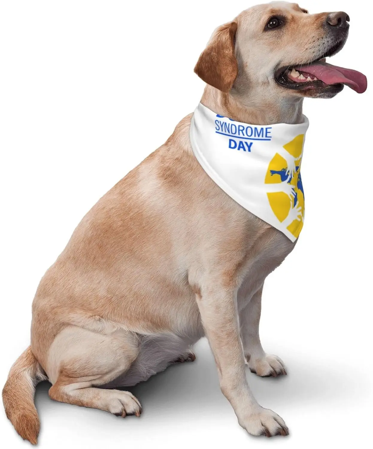 Dog Bandana Adjustable Reversible Triangle Dog Scarf Scarves Pet Bibs Costume Accessory Decor for Cats