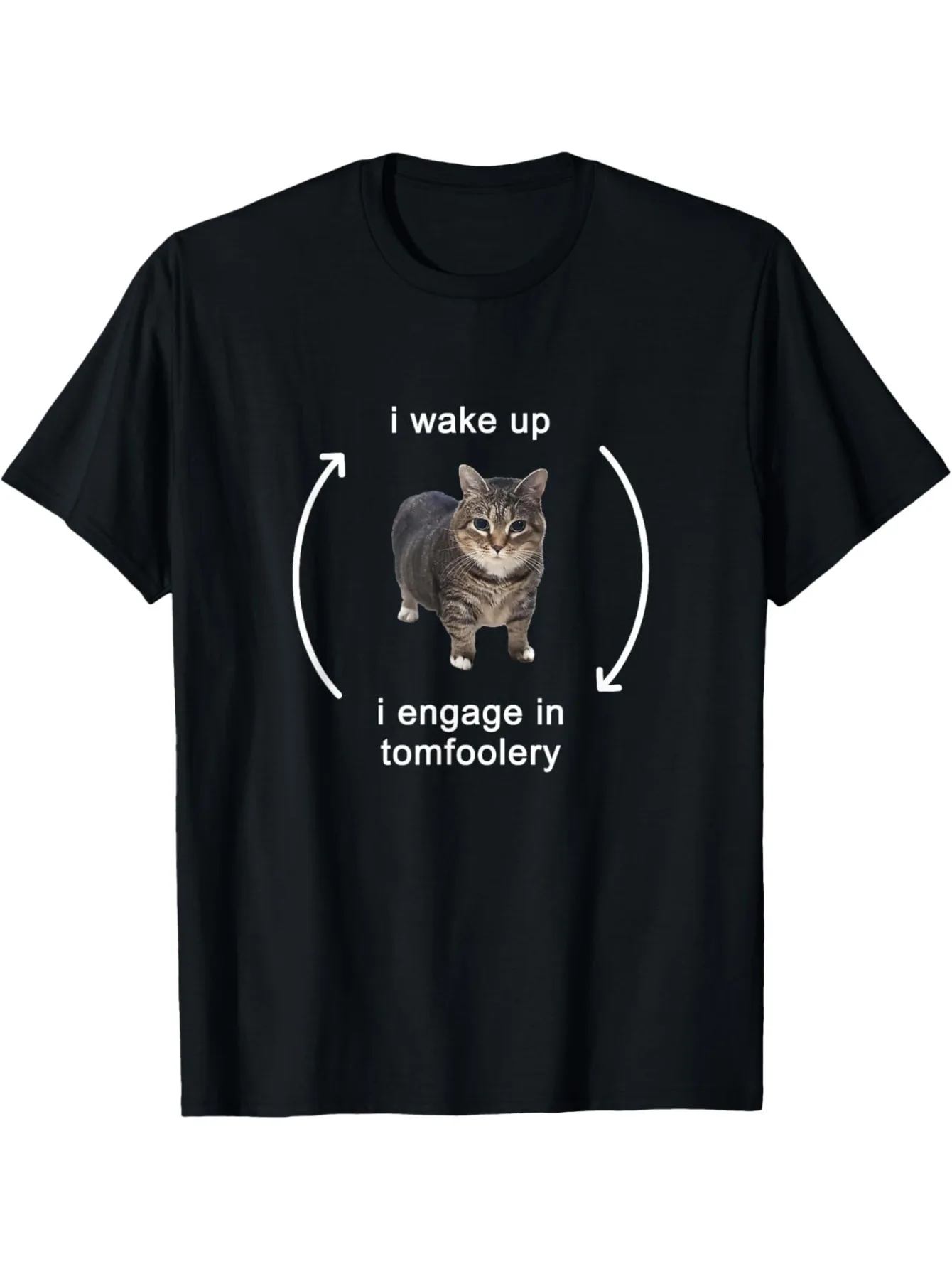 I Wake Up I Engage In Tomfoolery Silly Cat Meme T-Shirt