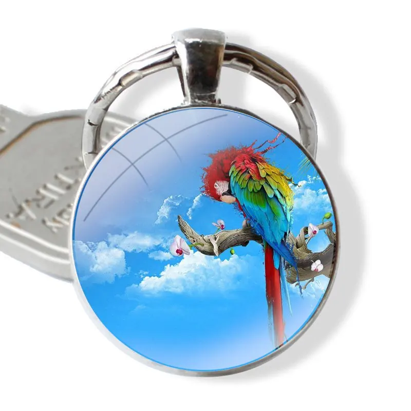 25mm Glass Cabohcon Keychain Key Rings for Women Men Jewelry Gift Blue Ringneck Parrot Black