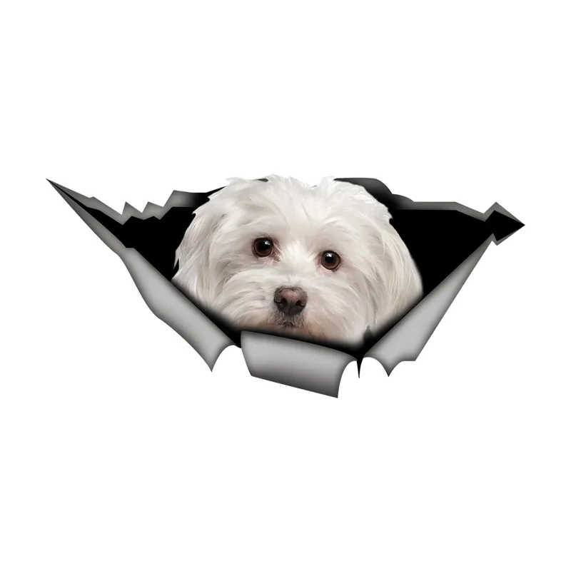 DK431# Maltese Dog Car Stickers Funny Waterproof Vinyl Decal Motorcycle Decorative Accessories, Used for Car, Motorcycle, Laptop