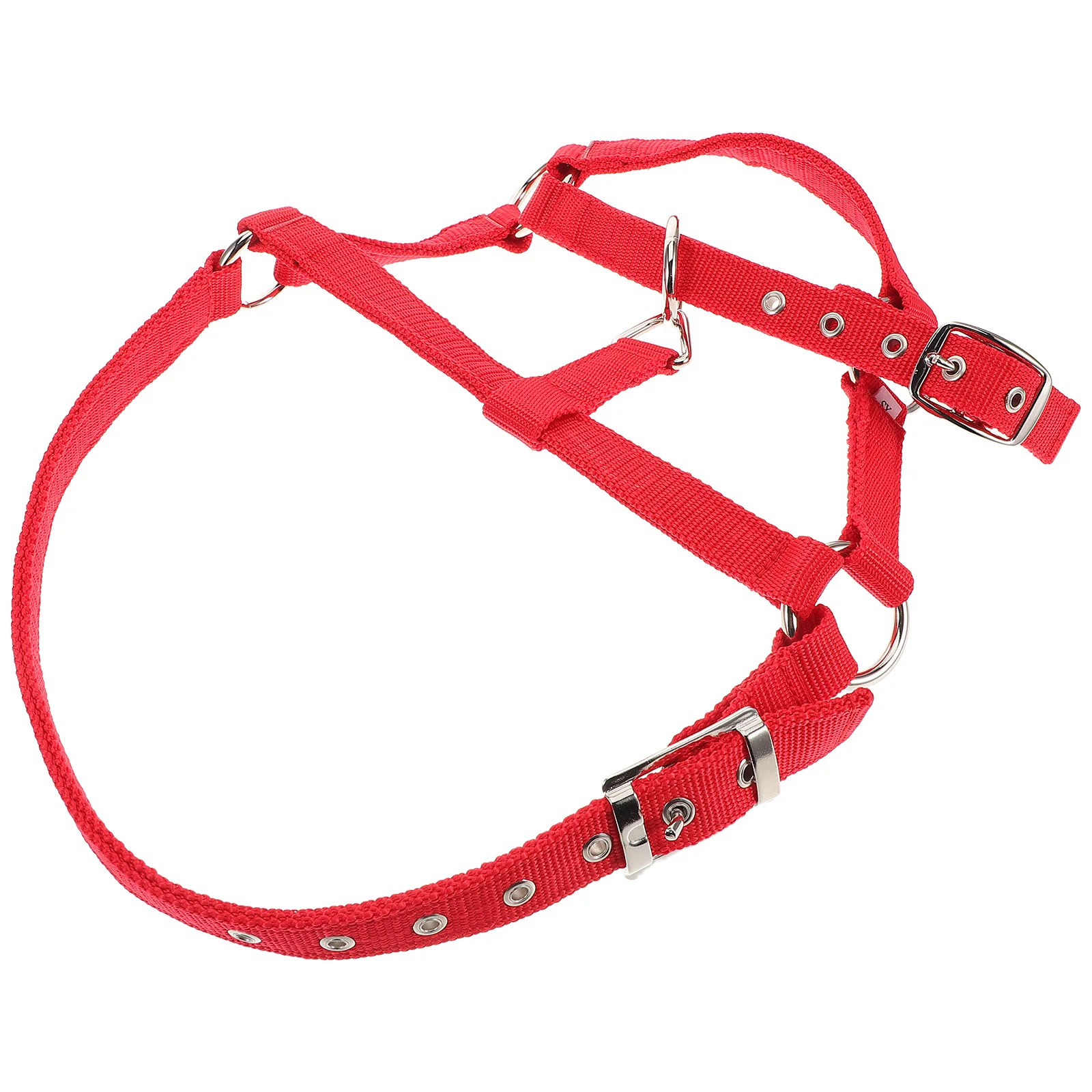 

Comfortable Padded Horse Halter Rope Set Equestrian Training Adjustable Nylon Breakaway Halter Equestrian Horse Clamp