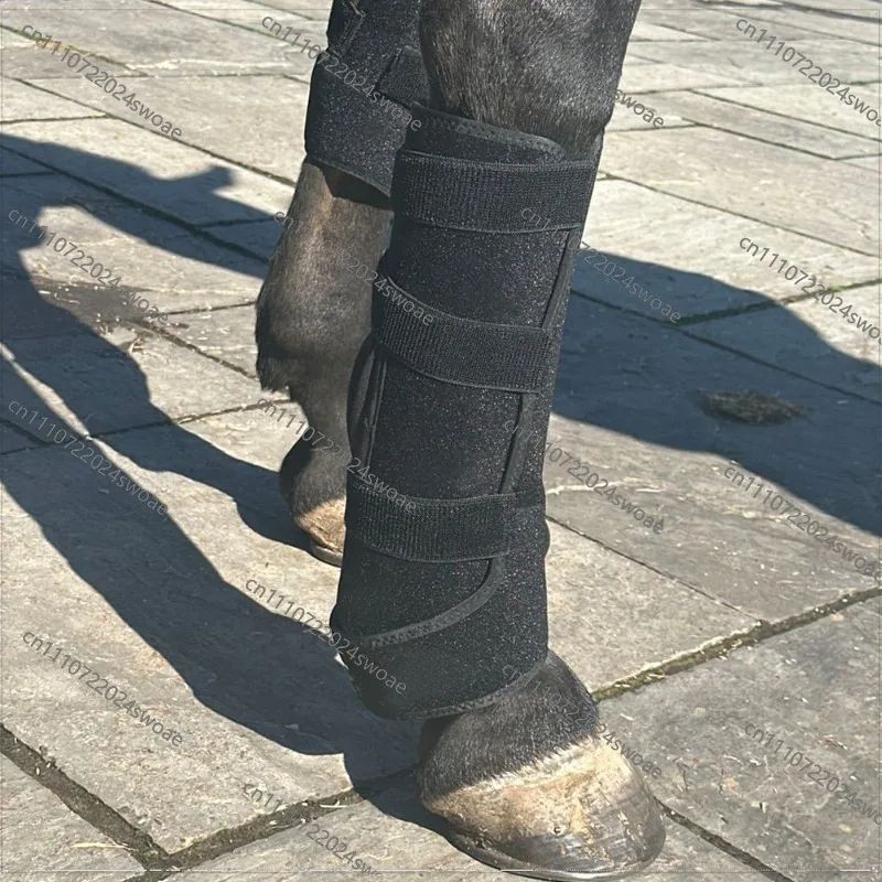 Large Horse Leg LED Physiotherapy Red Light Infrared Physiotherapy Horse Leg Motion Heated Horse Leg Strap Knee