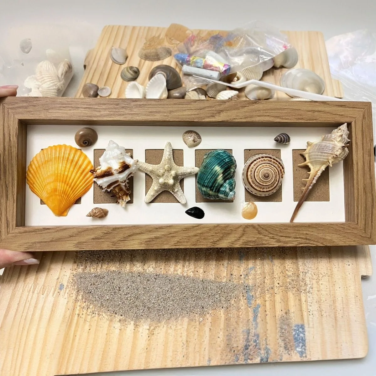 مجموعة أصداف المحيط المختلطة على شكل صدفة البحر، 30 قطعة بأحجام مختلفة صدف طبيعي ونجم البحر لديكور على الشاطئ، خزان الأسماك، الزفاف