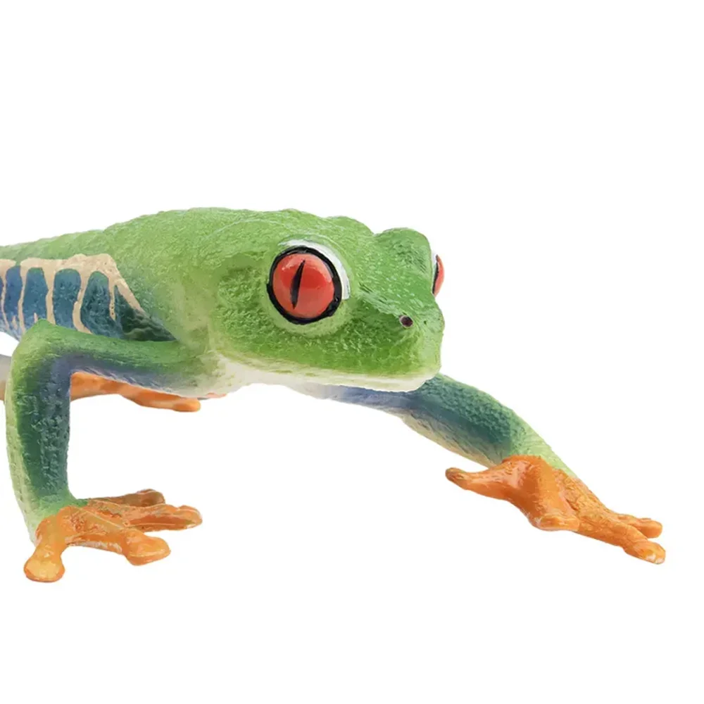 Toymany Simulation Red-eyed Tree Frog Reptile Realm Animal Model Toy Mini Figures Dolls Action Figurines Toys Children Gift