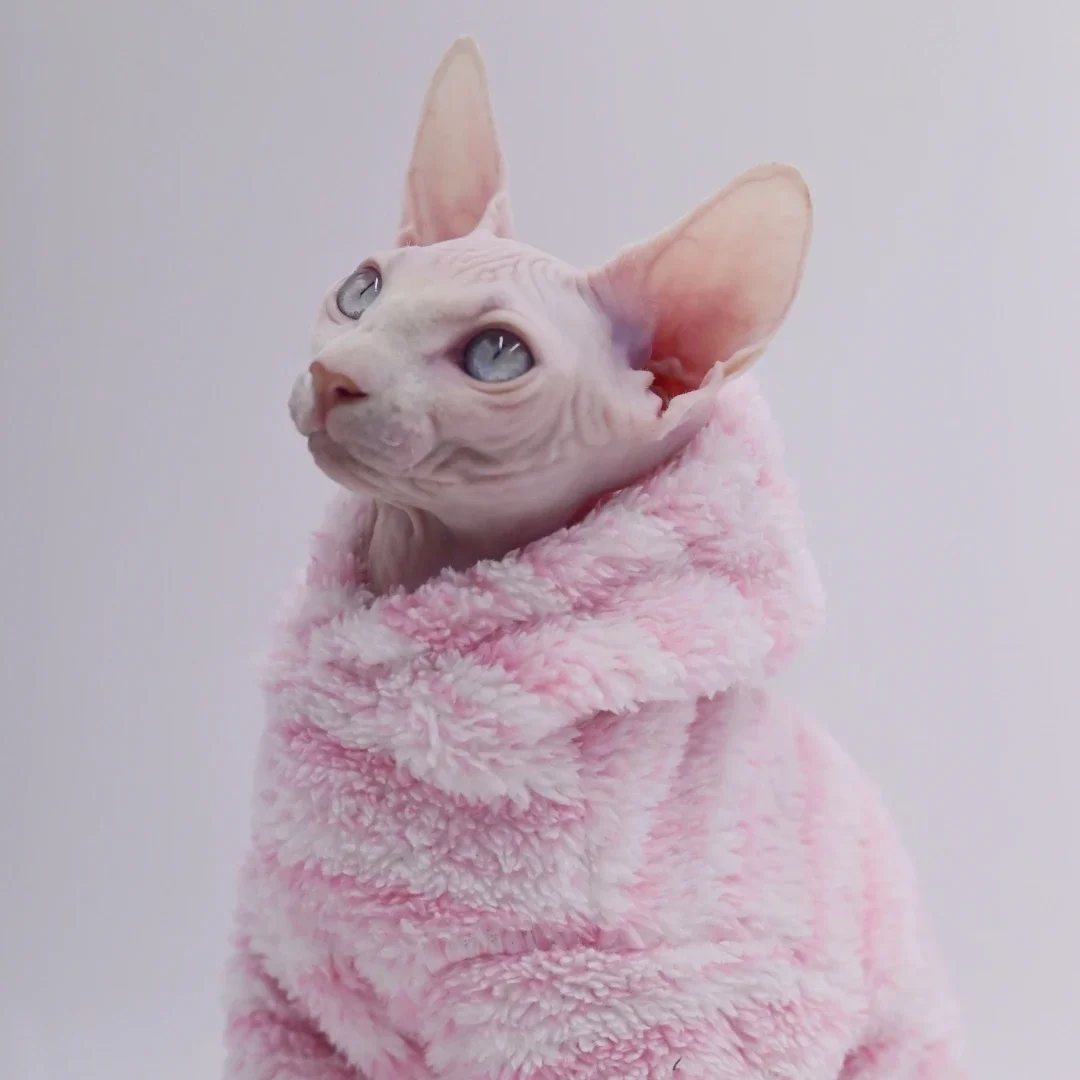 

DUOMASUMI-Sphynx Cat Clothes, Velvet, Warm, Soft, Winter, Thickened, Hairless Clothes for Cornish Rex, Devon Rex,