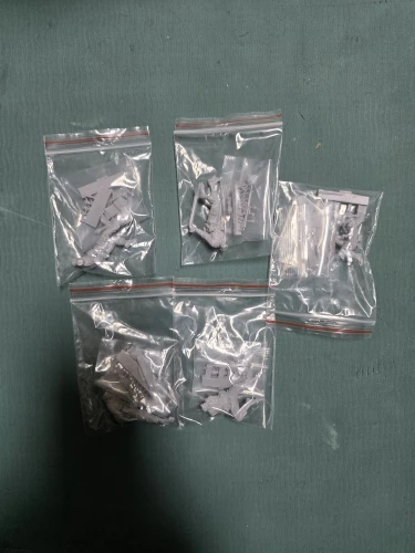 Buyer photo of this resin kit