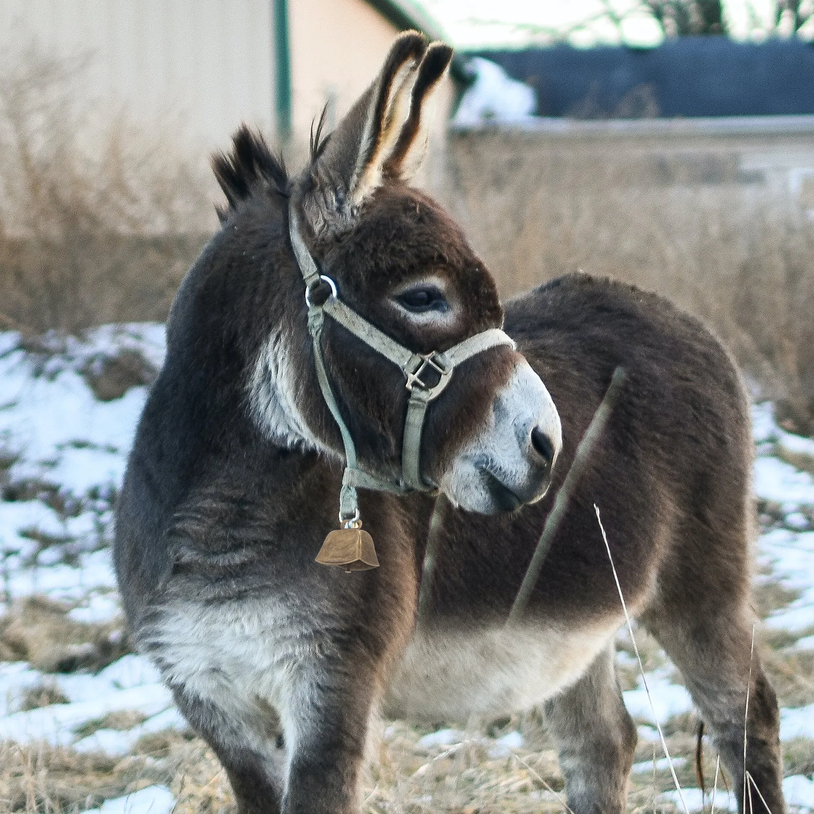 

6Pcs Metal Cow Bells Vintage Loud Bells for Horse Dog Cattle Farm Noise Makers Cow Bell Noise Makers