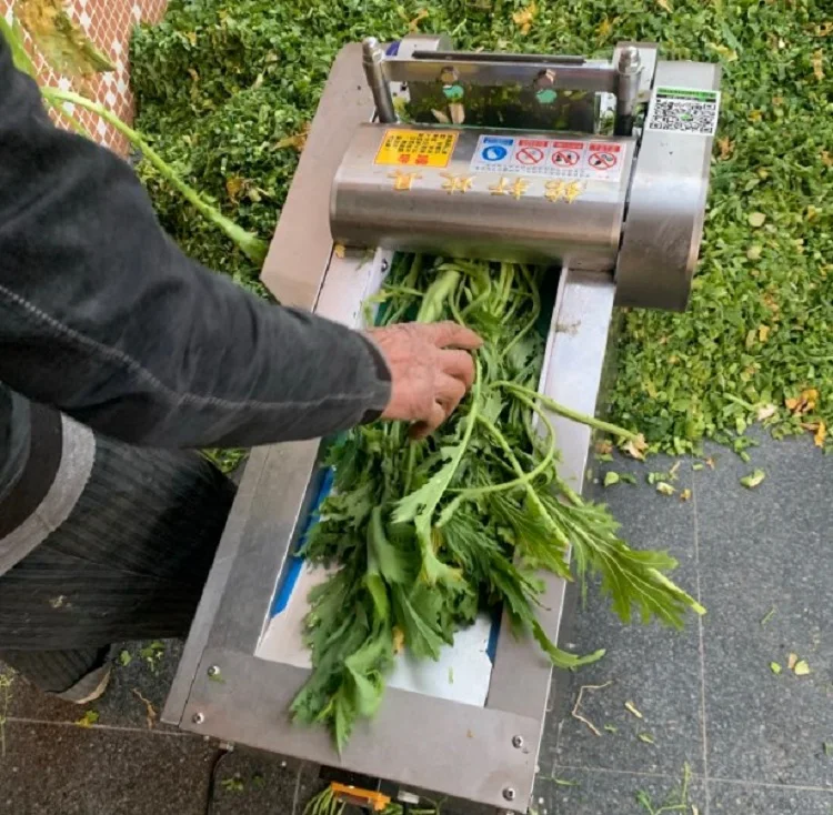Industrial Commercial Automatic Stainless Steel Motor Seaweed Shredding Spinach Chopper Vegetable Cutter Slicer Multifunctional