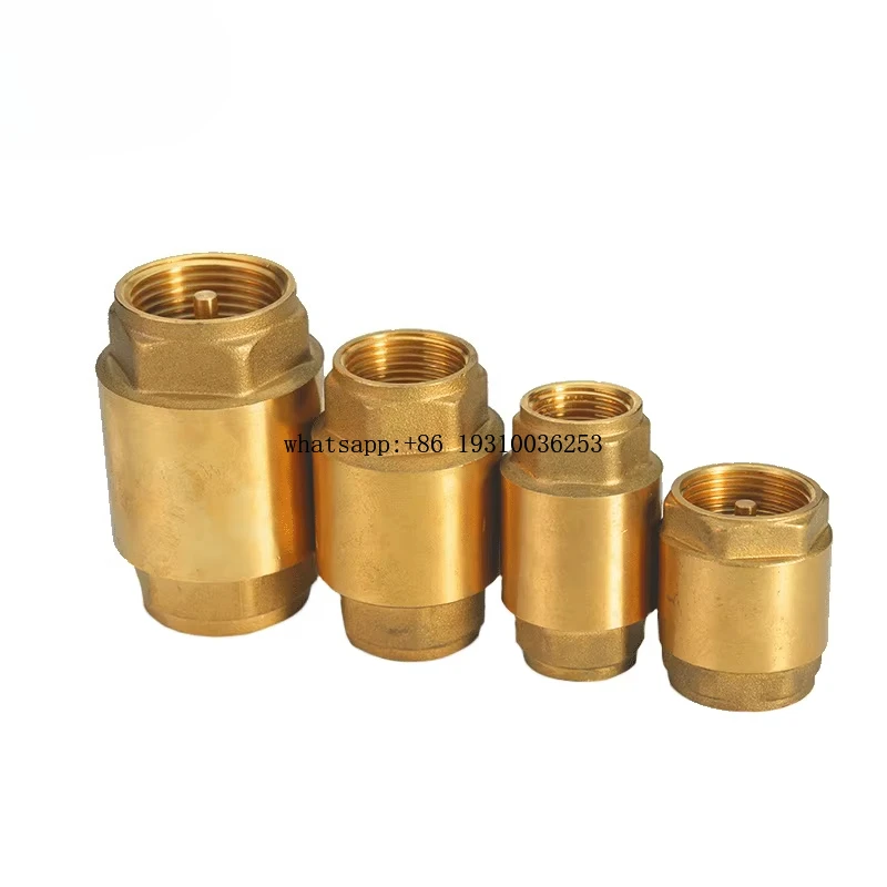 

Brass Non Return Valve Vertical Check Valve