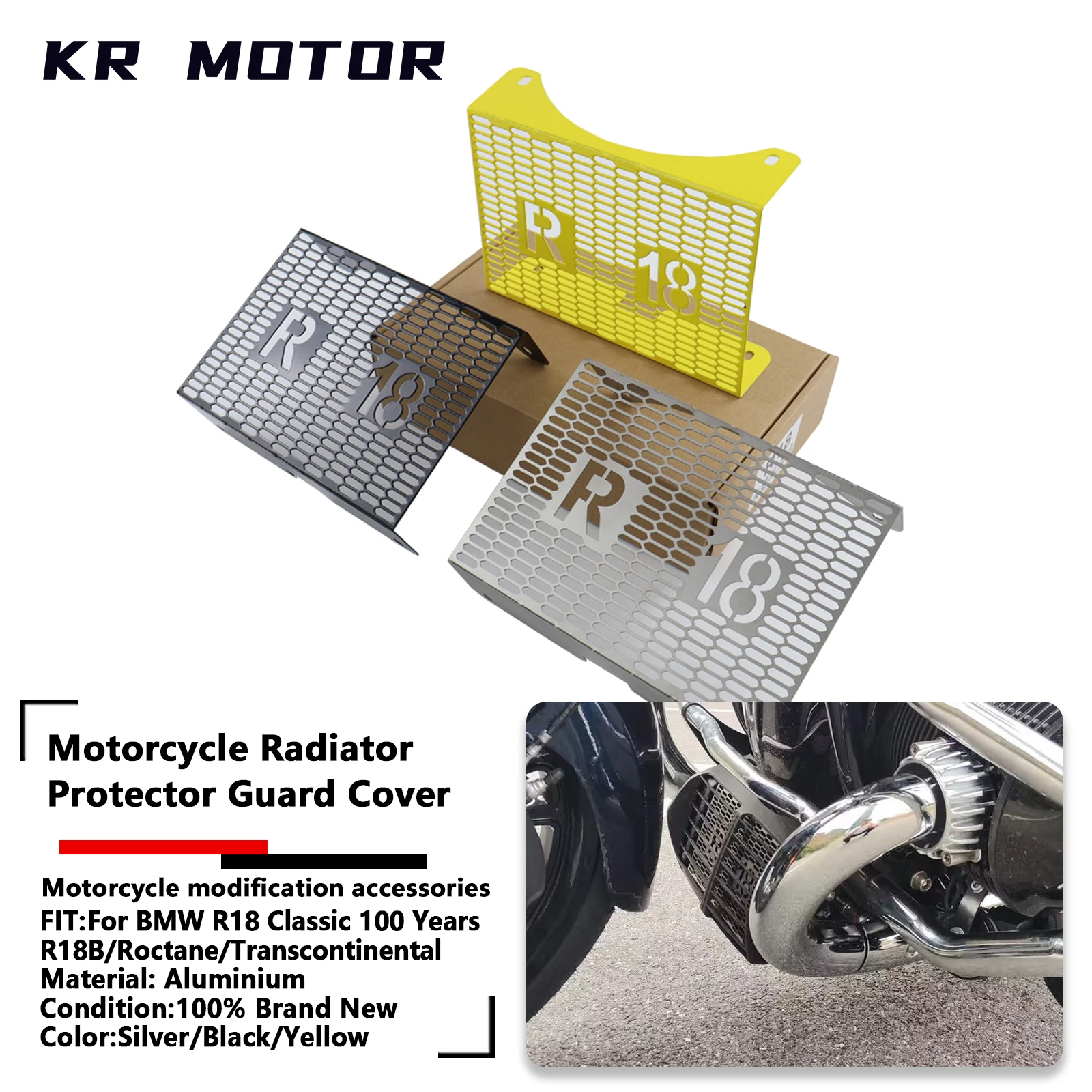 

Radiator Protector Fit For BMW R 18 Classic 100 Years R18B R18/Roctane/Transcontinental Oil Cooler Protection Grille Guard Cover