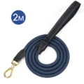 blue gold buckle