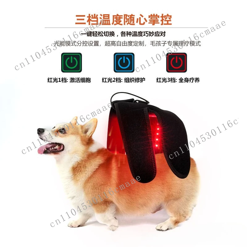 Pet Joint Physiotherapy Belt Red Light Physiotherapy Patella Health Care Relieves Pain and Promotes Blood Circulation