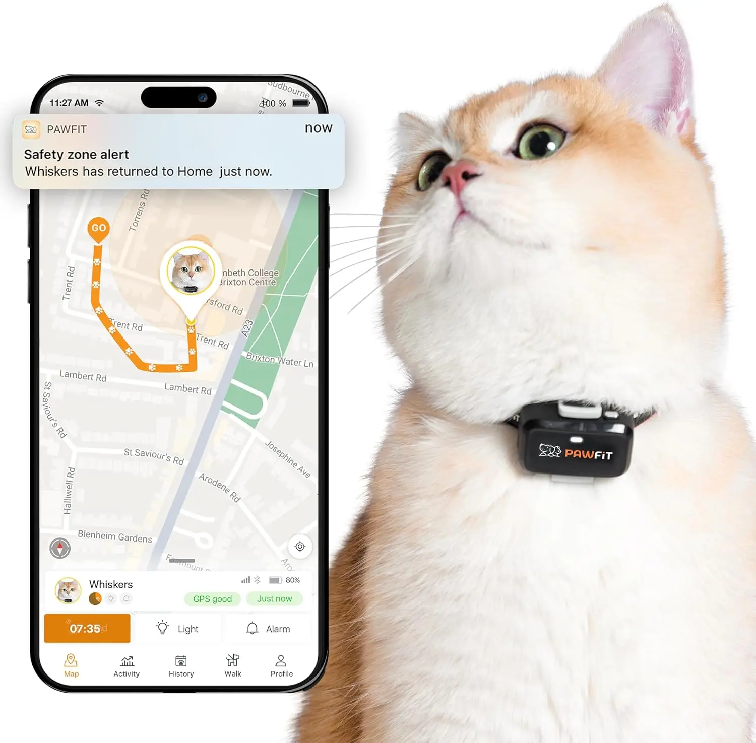 

Ультракомпактный 4G GPS-трекер для кошек с отслеживанием в реальном времени, мониторингом активности и неограниченным радиусом действия