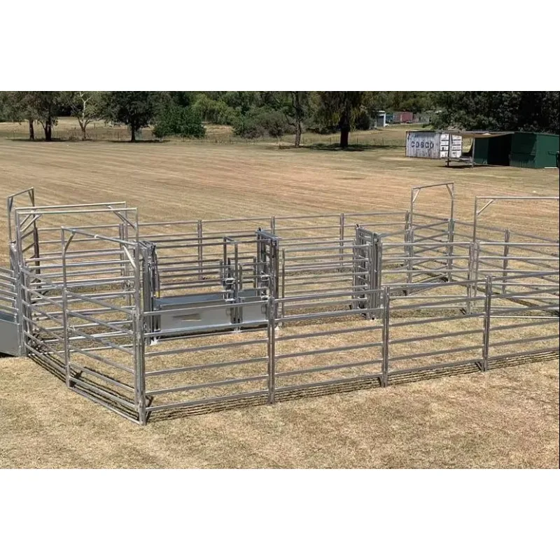Customization Livestock Equipment Cattle Fence Cow Farm Equipment
