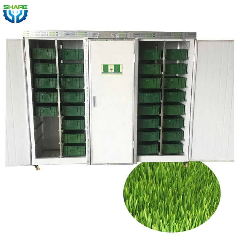 

Системы выращивания гидропоники Контейнер Автоматическая гидропонная машина Green Fodder