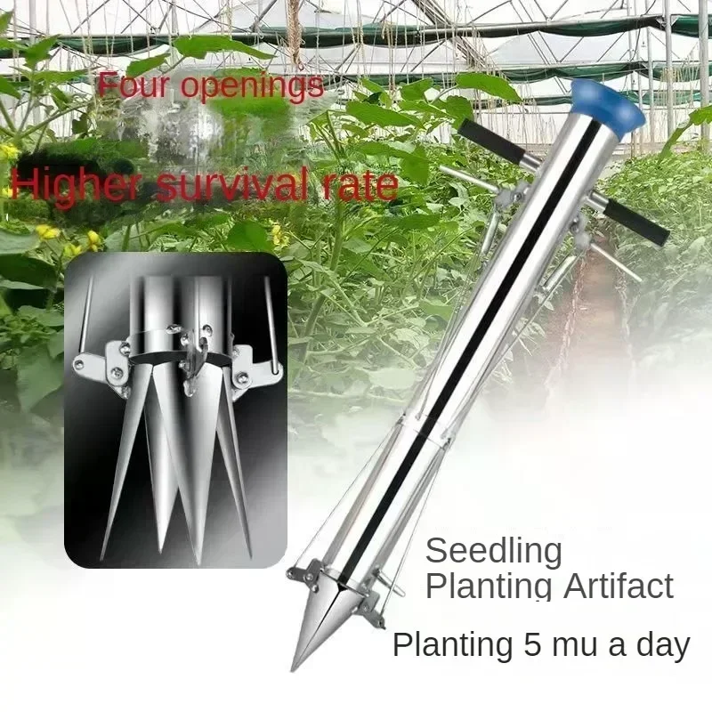 Efficient Seeders & Transplanters for Easy Planting of Chili, Watermelon and Vegetables