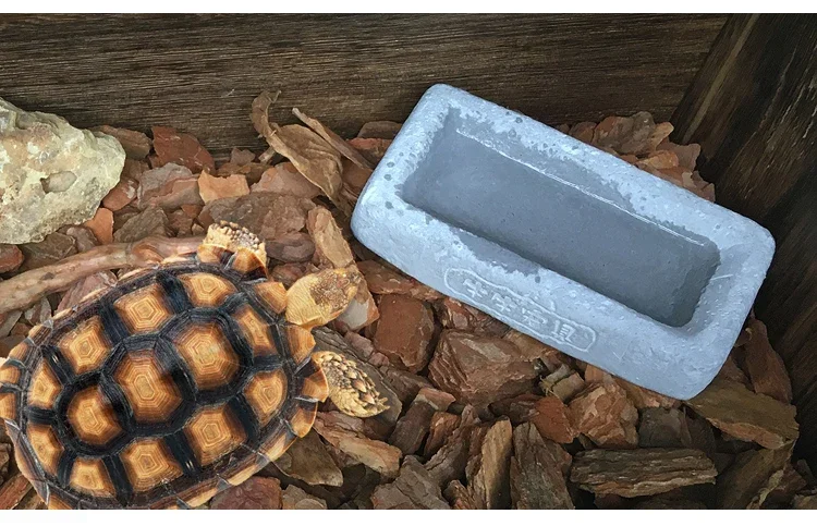 Stone Trough Small Pet Rice Bowl Ecological Feeder