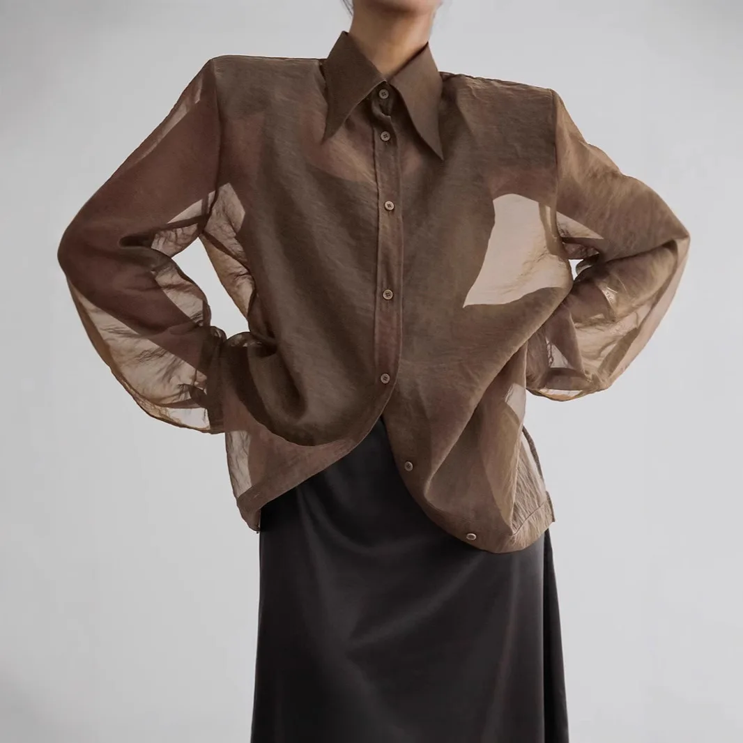 

Сексуальная прозрачная сетчатая рубашка для женщин с длинным рукавом, отложным воротником, свободного кроя, новинка 2026 года, элегантная, высококачественная, для вечеринок и клубов