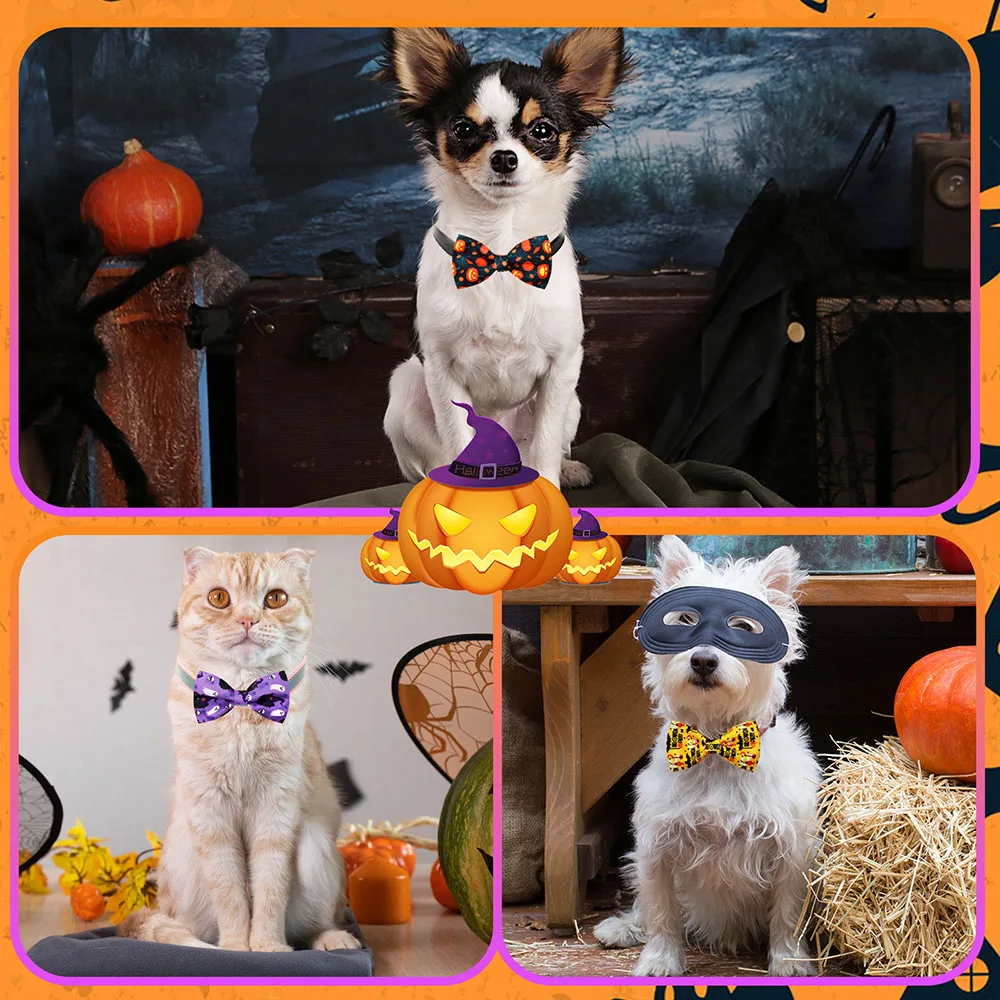 Thumbnail 3 - #77 Highest Rated Pet Grooming Supplies to Buy in 2026