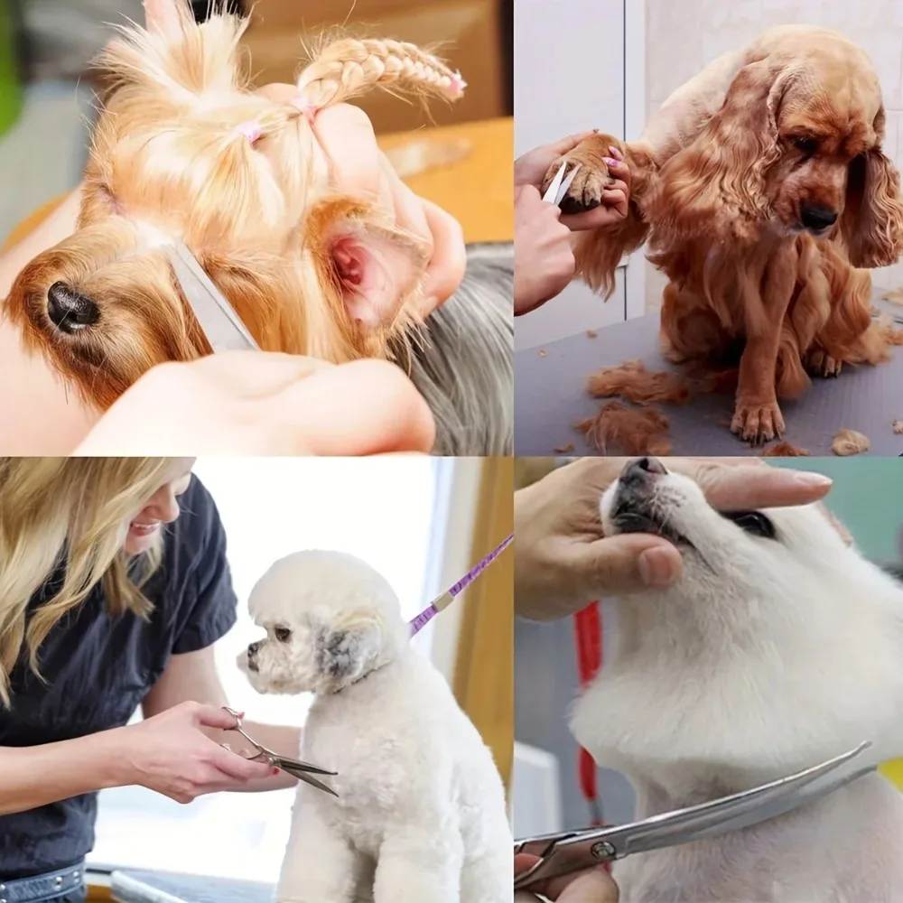 5-in-1 Professionelles Hundepflege-Scherenset aus Edelstahl mit Ausdünnungsschere und Sicherheits-Rundspitze für Hunde und Katzen – Detail 7